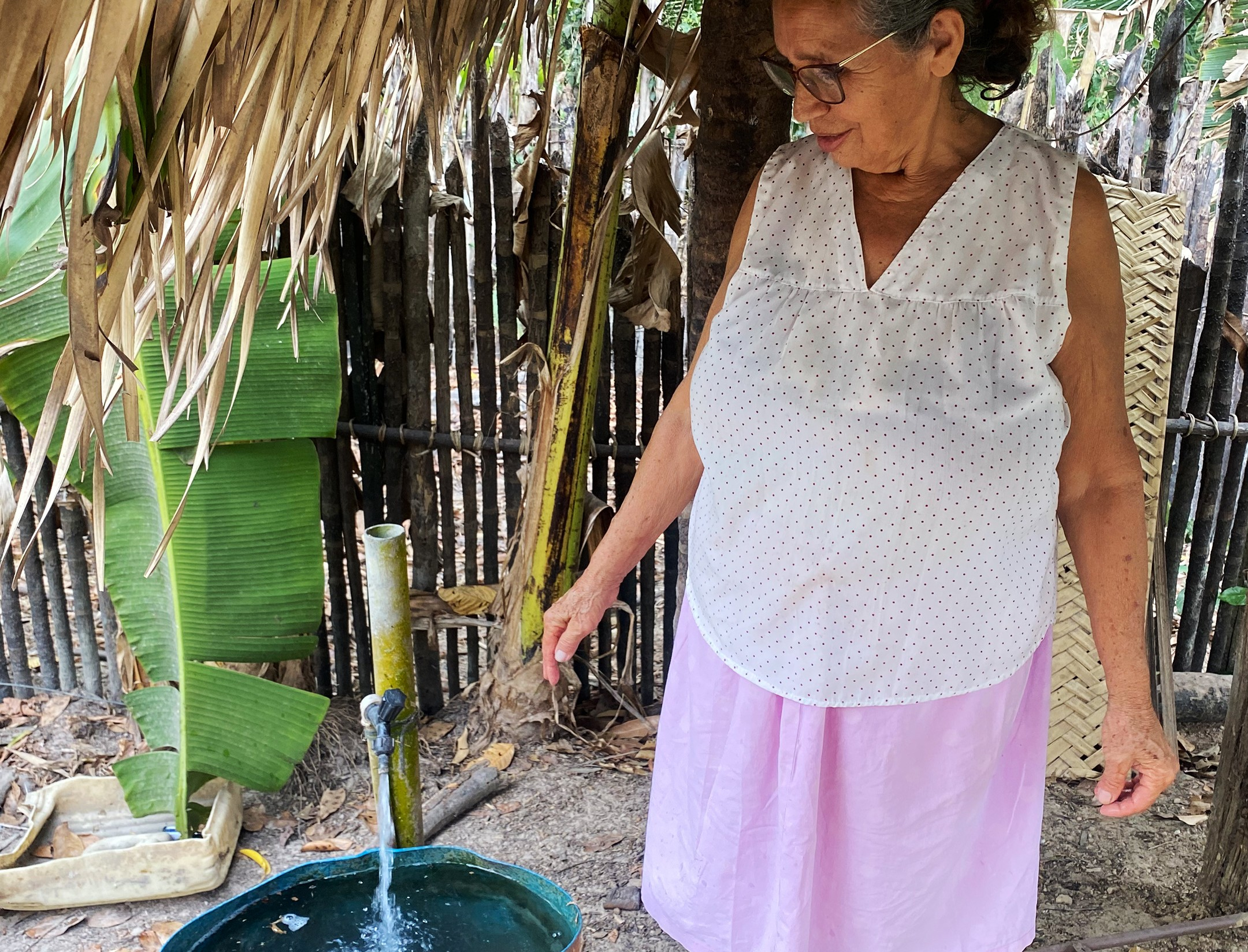 Dona Maria enchendo um balde para molhar uma plantação de cheiro verde e pimentão. Foto: Adriana Menezes